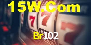 Programa VIP Br102