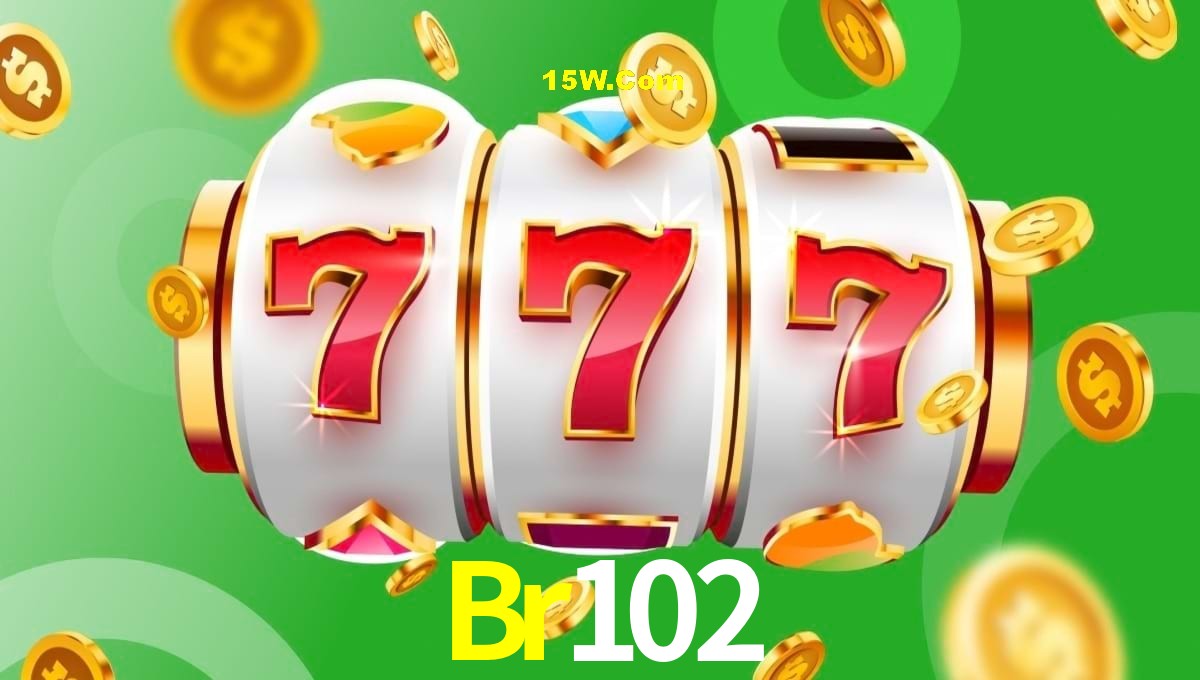 Experiência VIP Br102