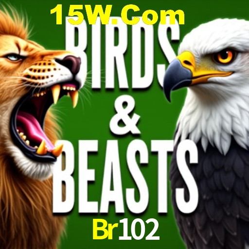 Apostas de Futebol Br102